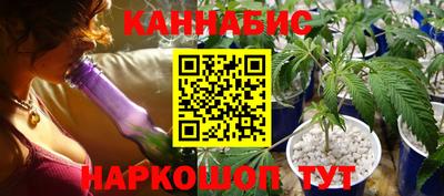 дмт Новодвинск