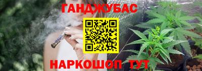 дмт Новодвинск